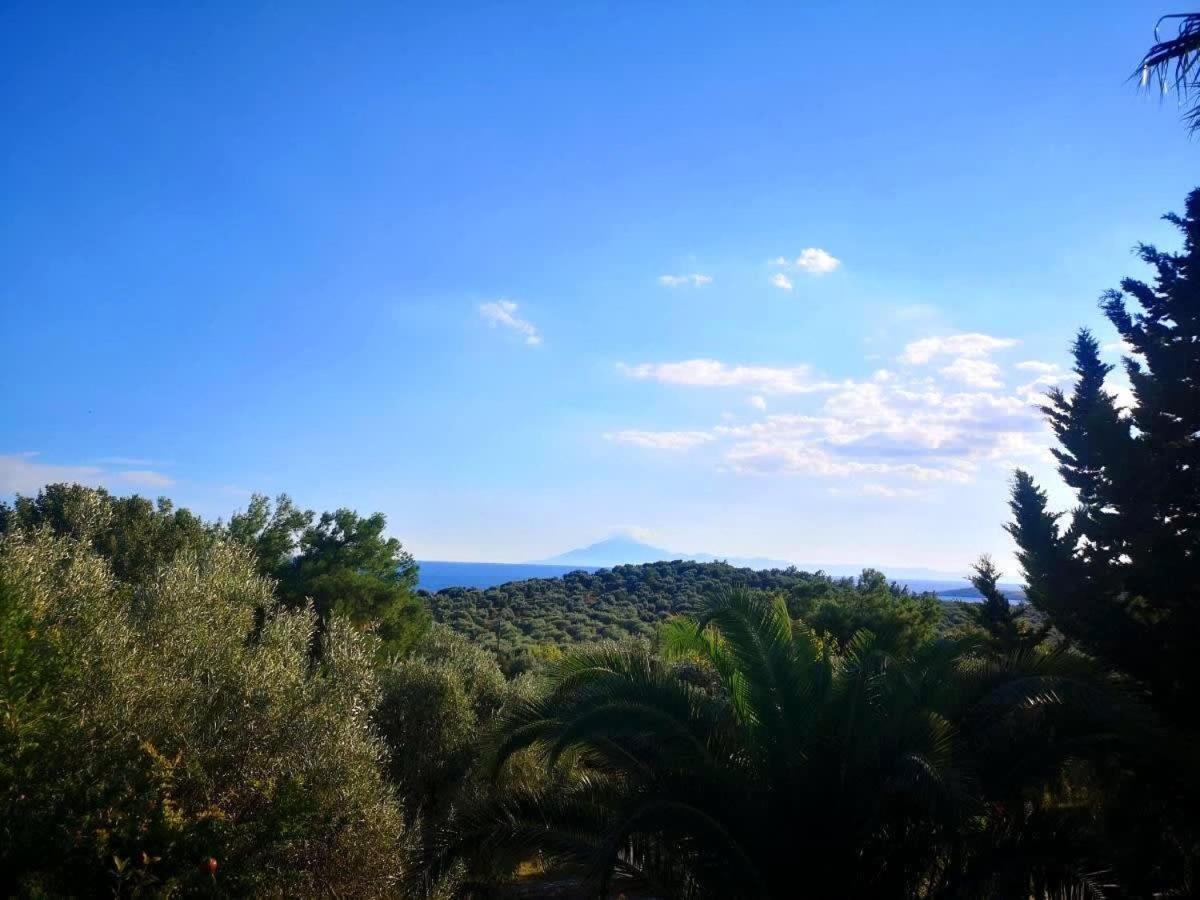 Thasos Seaside Serenity - Seaview & Garden Nests Apartment Astris Exterior photo
